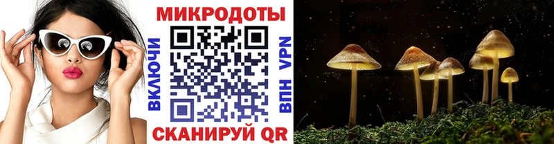 как найти наркотики  Кораблино  Галлюциногенные грибы прущие грибы 